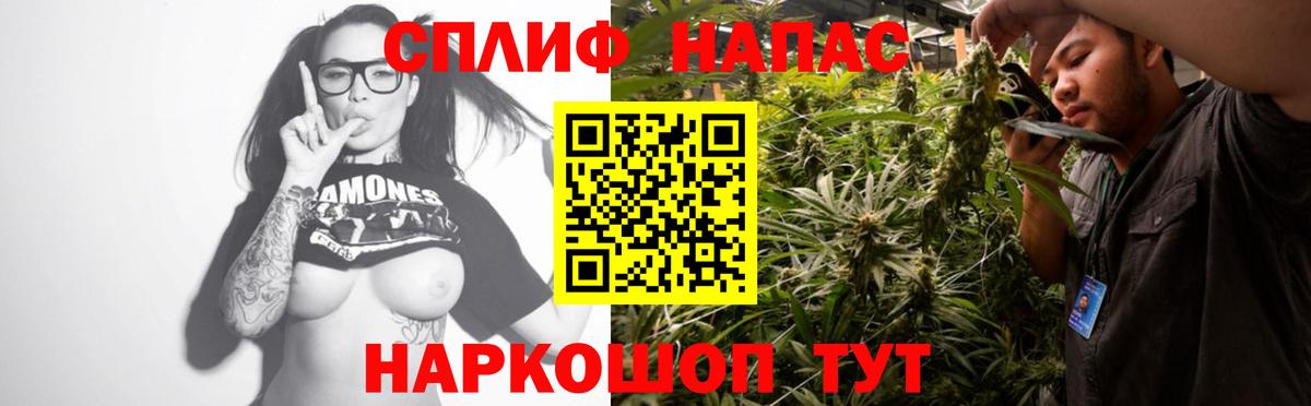 Каннабис ГИДРОПОН Советский